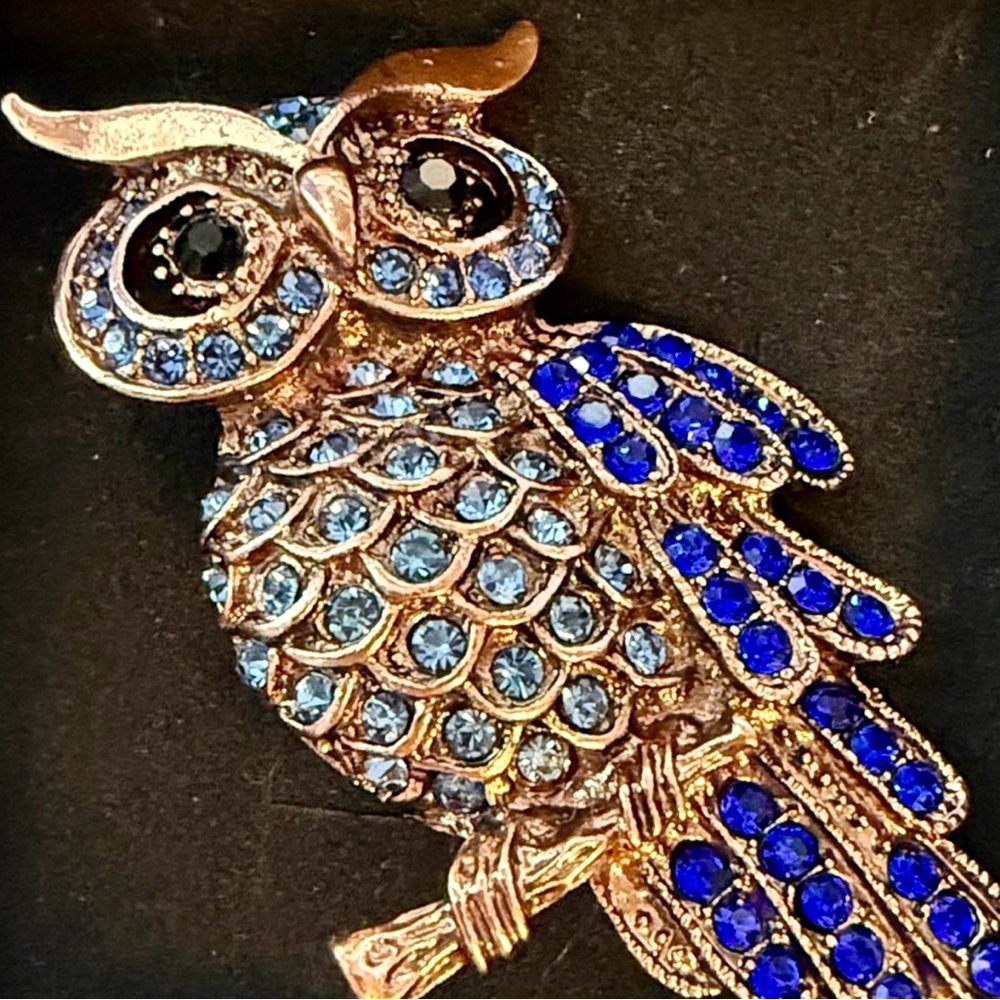 Blue and Silver Owl Brooch Trendy seen on Traitors!!